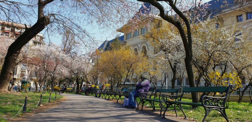 Vremea până la sfârșitul lunii mai: Temperaturi mai ridicate decât cele normale 18895953