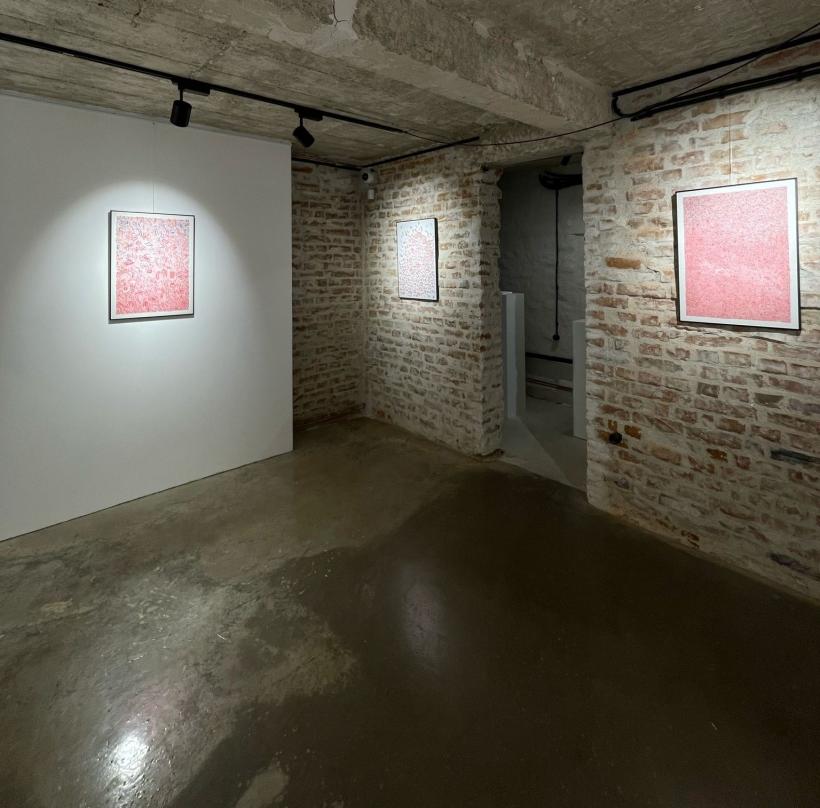  INK, expoziție personală Dan Basu la Scemtovici & Benowitz Gallery 18896172