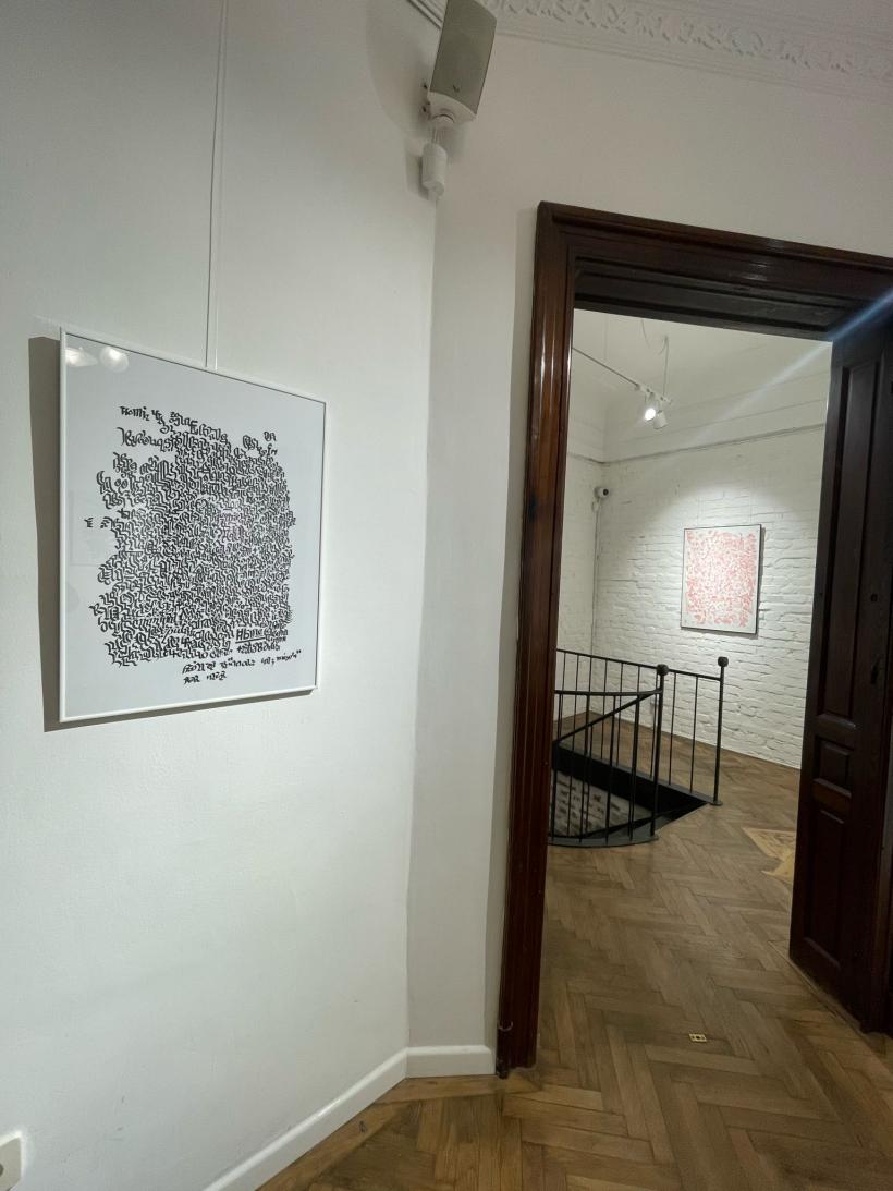  INK, expoziție personală Dan Basu la Scemtovici & Benowitz Gallery 18896173