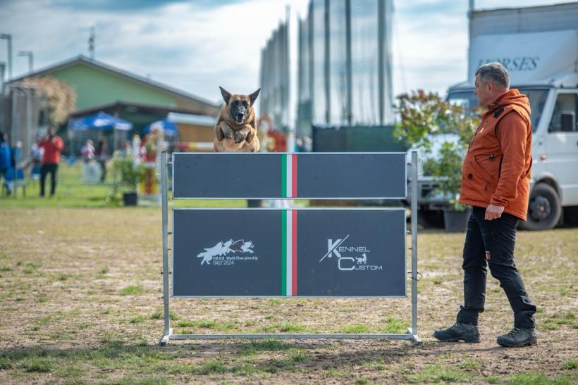 România revine cu succese notabile de la Campionatul Mondial al Ciobăneștilor Belgieni din Italia 18896985