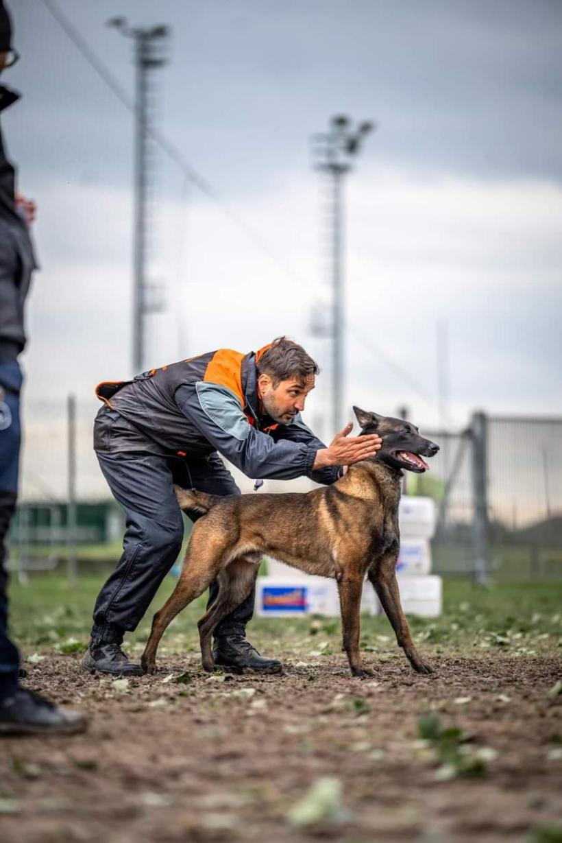 România revine cu succese notabile de la Campionatul Mondial al Ciobăneștilor Belgieni din Italia 18896986