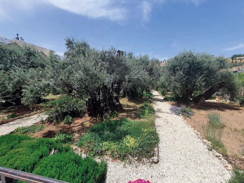 Mormântul Sfânt, sub umbra războiului: pustiu, soldați și ură 18896941