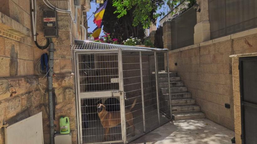 Când crucea atrage bolovani. Patimile călugărilor români din Țara Sfântă 18898096