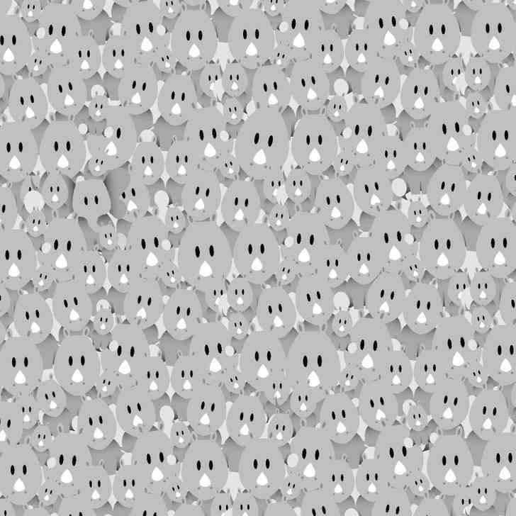 Test IQ. Găsește elefantul printre ursuleții Koala în 7 secunde 18898354