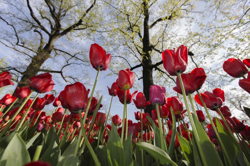 Cum va fi vremea până la mijlocul lunii iunie 18898842