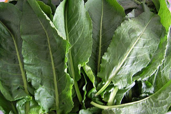 Frunzele comestibile, un aliat de nădejde: lupta cu astenia de primavară și ajută sistemul imunitar  18898848