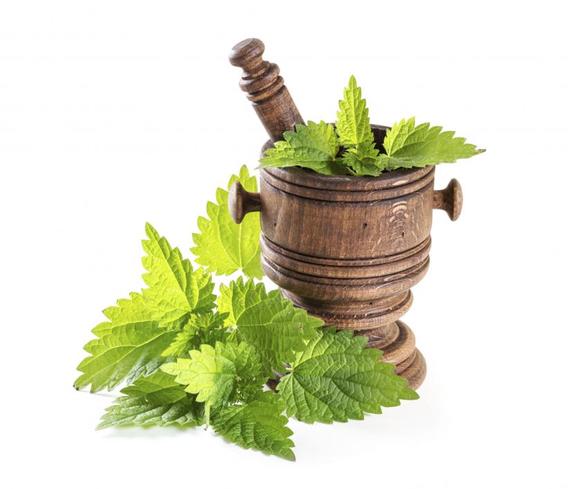 Frunzele comestibile, un aliat de nădejde: lupta cu astenia de primavară și ajută sistemul imunitar  18898850