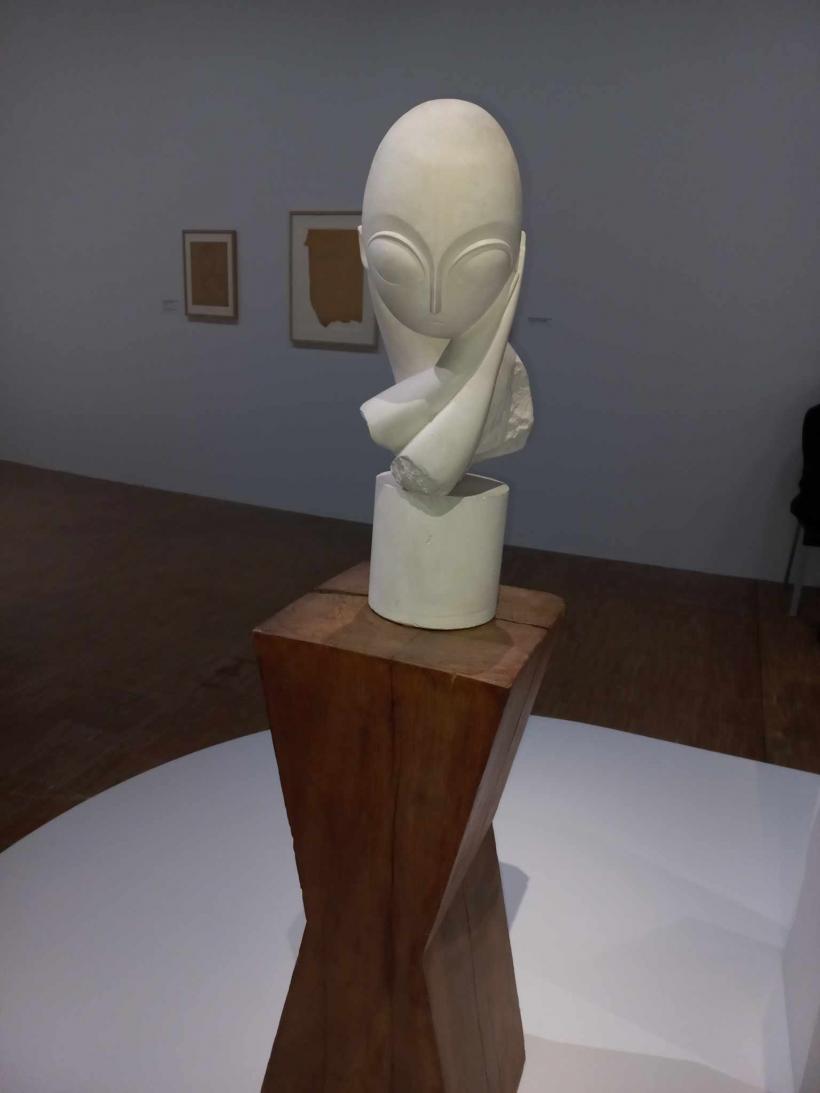 Curatori din Franța, Marea Britanie, SUA și Japonia, la conferința „Brâncuși Perspective“, organizată de ICR la Centre Pompidou 18899379