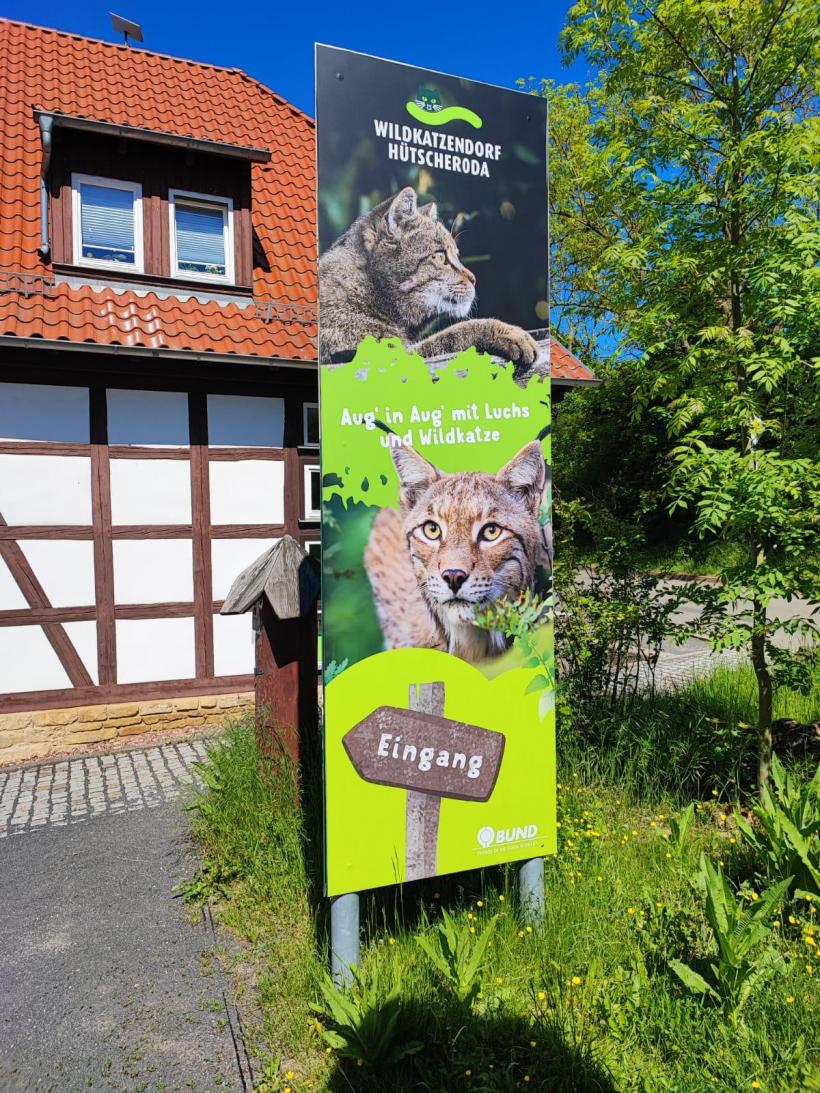 Râsul Viorel, vedeta pădurilor românești care scrie istorie în Germania  18899772