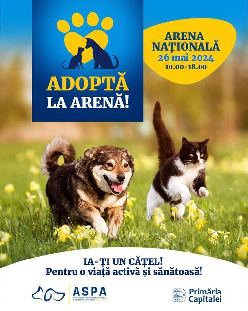 Cel mai mare târg de adopții de animale de companie din București, la Arena Națională