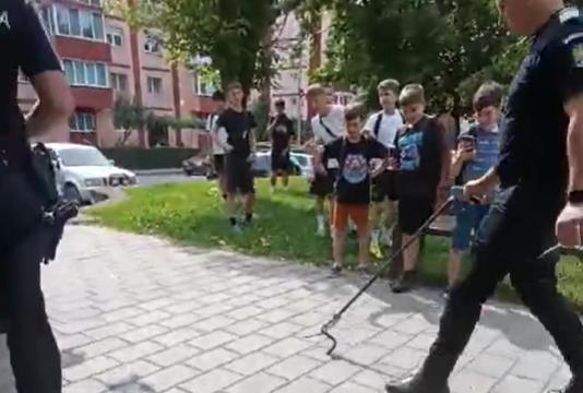 Panică într-un parc din Reșița: Un șarpe se plimba printre copii