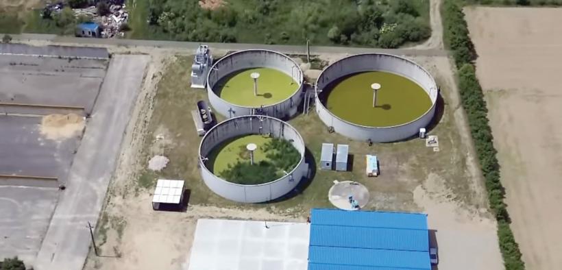 Lupta cu groapa de gunoi din „Yellowstone” a făcut prima victimă: Aproape ucisă, în timp ce încerca să-și salveze localitatea de un posibil dezastru ecologic 18900692