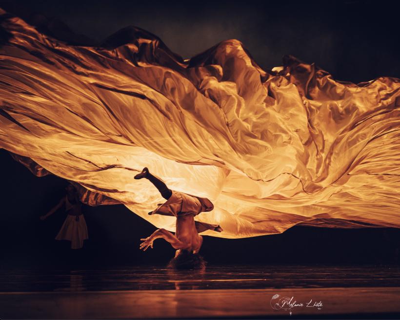 Spectacole fabuloase la FITS 2024 18900796