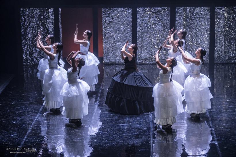 Spectacole fabuloase la FITS 2024 18900798