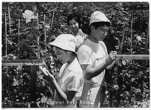 Focus Japonia la TIFF.23: omagiu cinematografiei japoneze 18901267