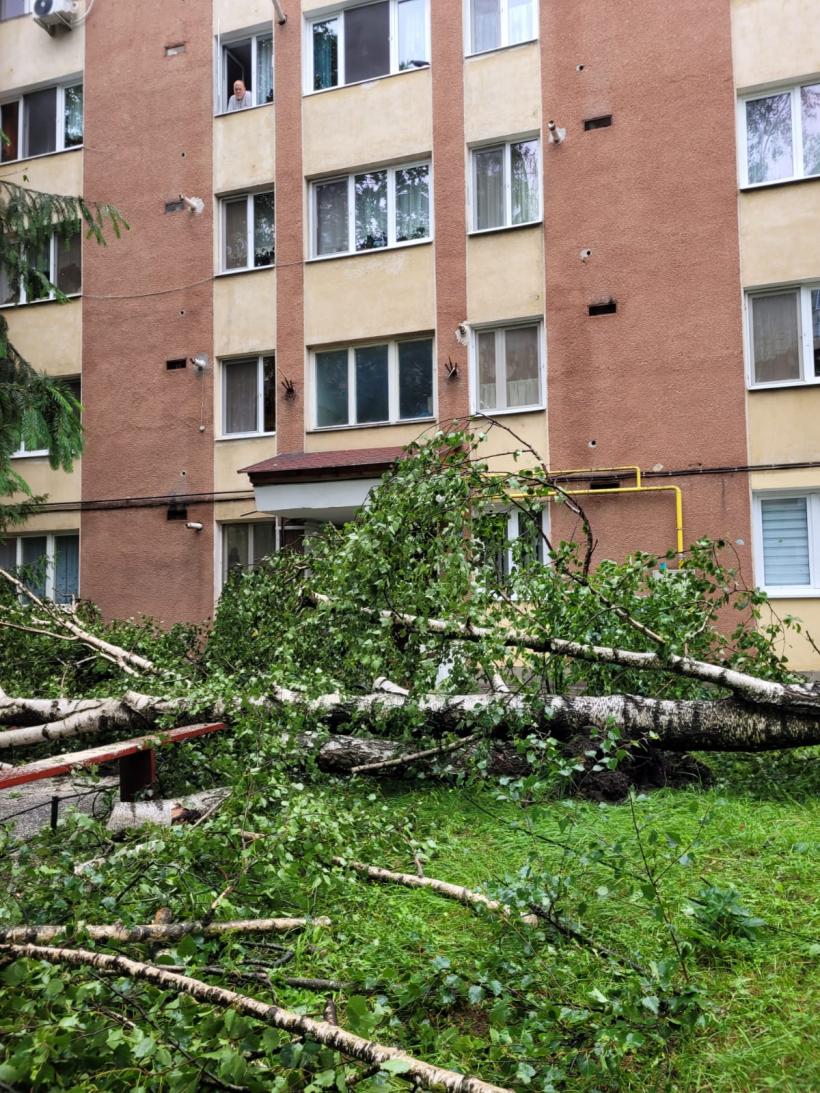 Furtună la Odorheiu Secuiesc. Un panou publicitar a căzut peste un om, 12 copaci s-au rupt