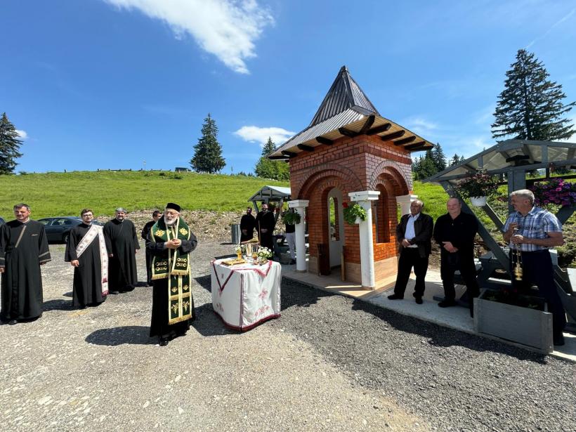 ÎPS Calinic Argeșeanul, Arhiepiscopul Argeșului și Muscelului, a ajuns de urgență la Spitalul Floreasca din Bucureşti 18901598