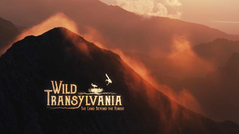 Mâine începe la Brașov LYNX Festival 18901752