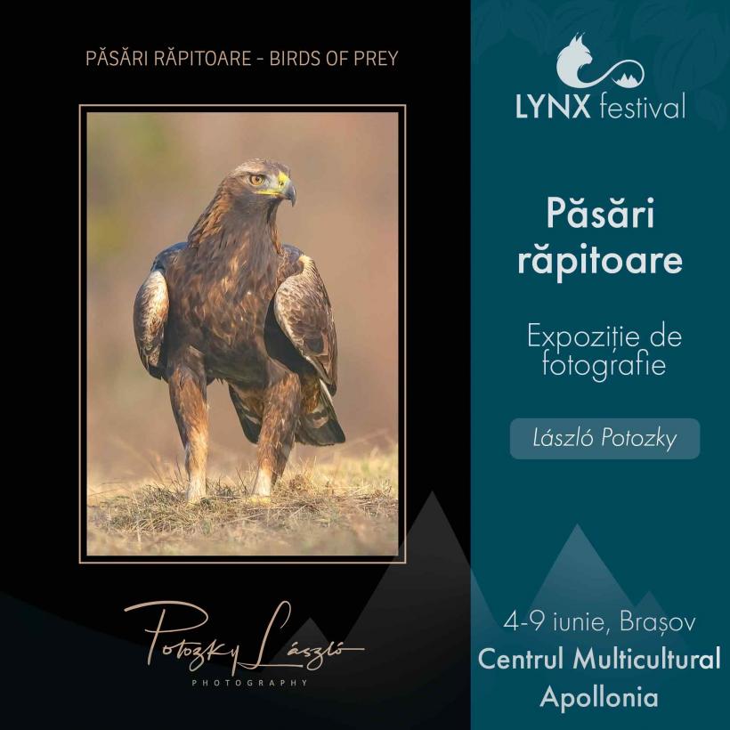 Mâine începe la Brașov LYNX Festival 18901754