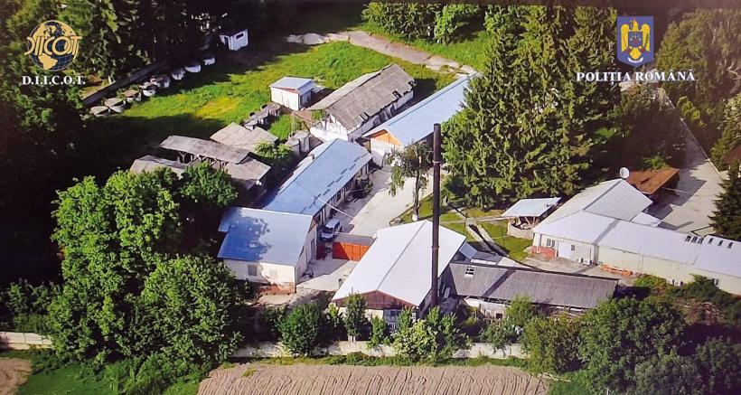 Cele mai bune idei pentru agricultură vin de la traficanții de droguri   18901666