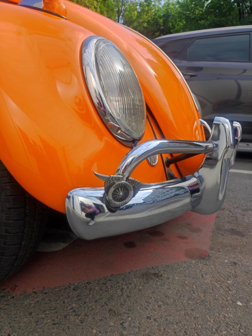 Povestea zbuciumată a unei „broscuțe” ce a ajuns la Registrul Auto Român 18902120