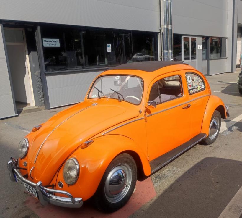 Povestea zbuciumată a unei „broscuțe” ce a ajuns la Registrul Auto Român 18902121