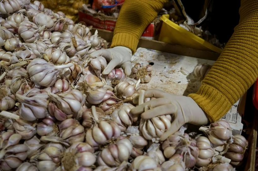 România a băgat un miliard în Programul  tomata, ca să importăm roșii din Siria și ketchup din Japonia 18902167