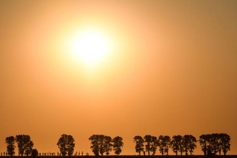 România fierbe: Canicula topește Muntenia, Oltenia și Capitala 18902512