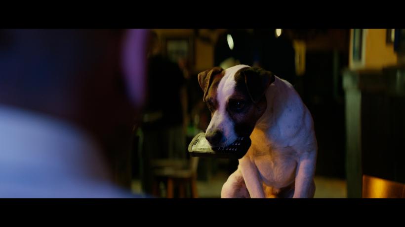 DOGMAN, în regia lui Luc Besson, din 14 iunie în cinematografe 18902847