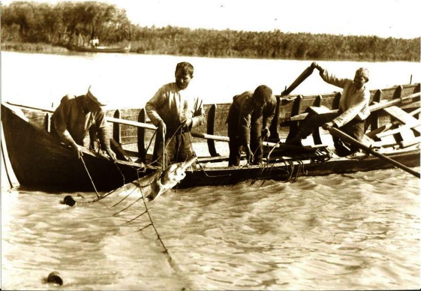 Cum a pătruns în limba română cuvântul „ciufut” 18902708