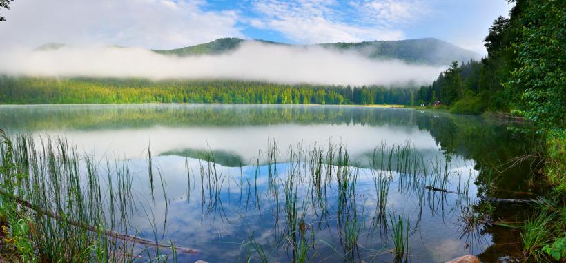 Monument al naturii transformat în dezastru ecologic: Carasul argintiu și Ministerul Mediului distrug Lacul Sfânta Ana 18902978