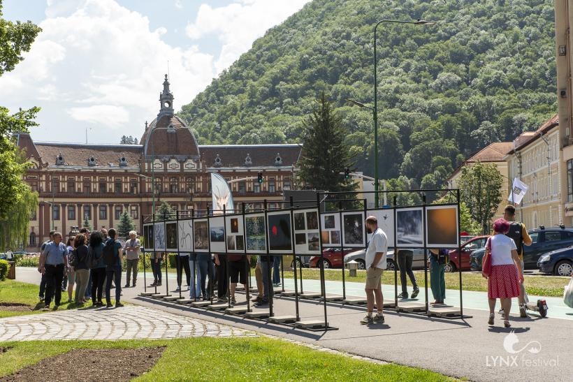 Cactus Hotel este câștigătorul celei de-a doua ediții a LYNX Festival 18903180