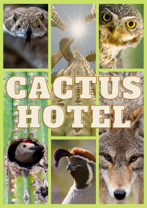 Cactus Hotel este câștigătorul celei de-a doua ediții a LYNX Festival 18903188