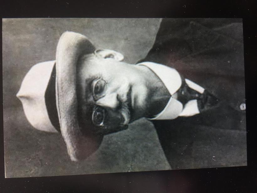 Radu Rosetti, ochiul ager al boierimii în picaj  18903093