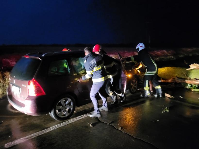 O mașină a intrat într-un copac căzut pe șosea din cauza furtunii, în Giurgiu 18903382