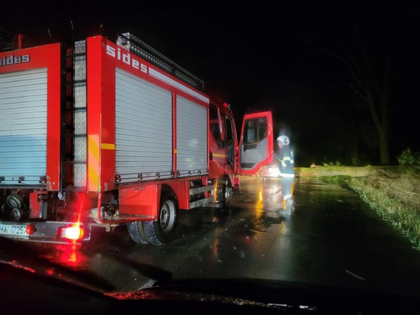 O mașină a intrat într-un copac căzut pe șosea din cauza furtunii, în Giurgiu 18903383