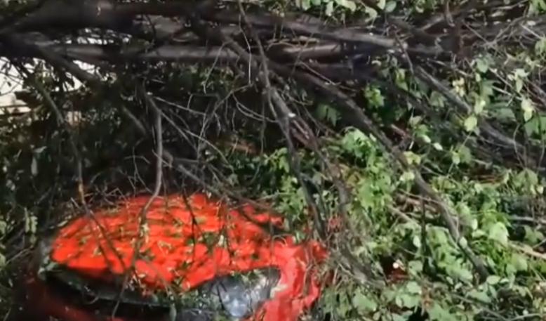 Urgie în București și Ilfov. Codul Roșu a făcut prăpăd 18903375