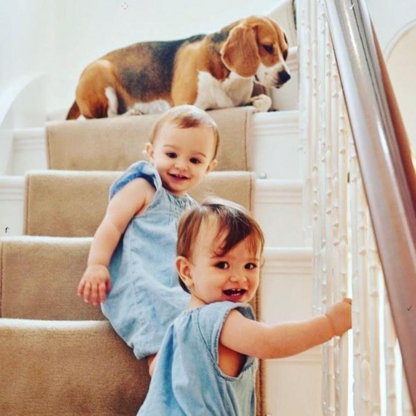 Câinele, cel mai bun prieten al copilului tău. Iată rasele blânde, afectuoase și răbdătoare cu cei mici 18903687