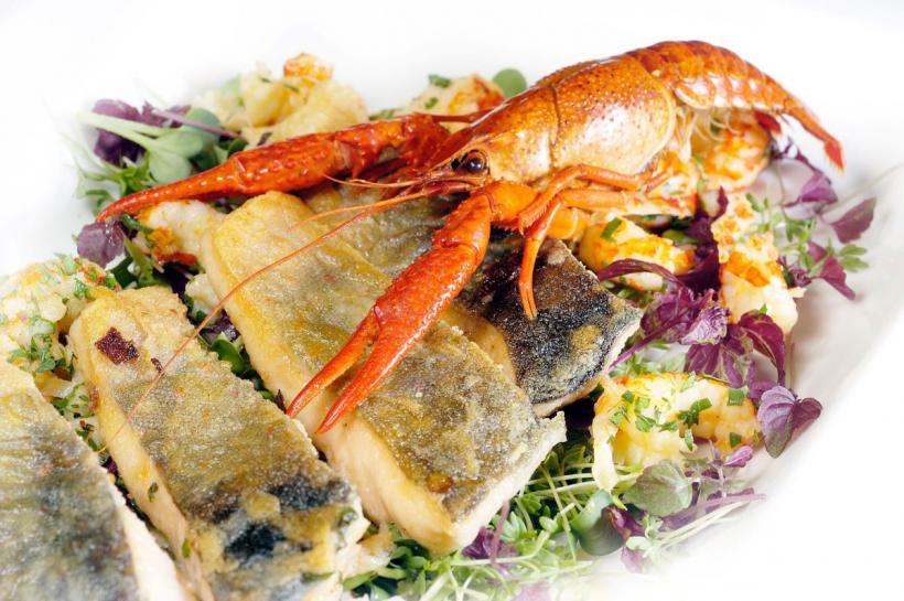 Cele mai bune ierburi pentru carnea de pește 18904053