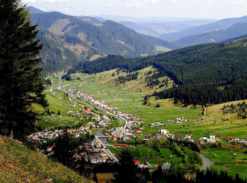 Cum s-a insinuat în limba română cuvântul „cherchelit” 18903970