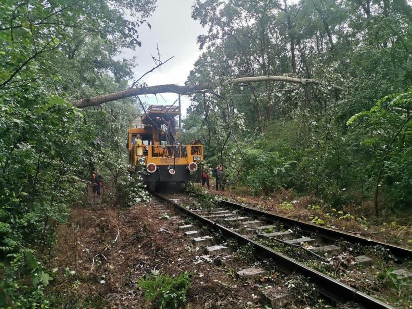 Tren oprit de copacii rupți în timpul vijeliei între Toplița și Lunca Bradului