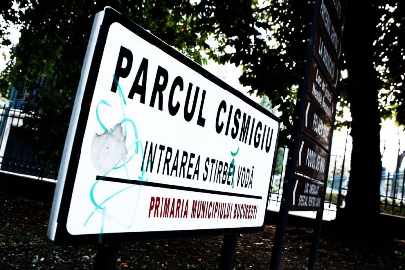 Cum s-a „răcorit” limba română cu termenii „cișmea” și „Cișmigiu” 18904810