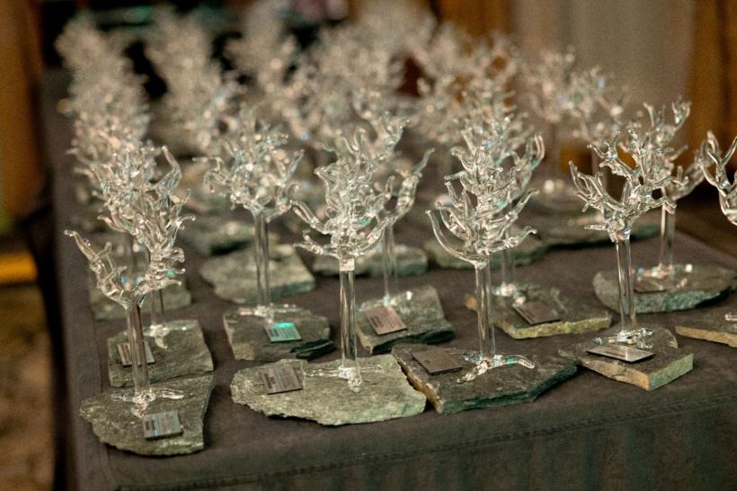 Gala Dezvoltăm România Sustenabil, ediția a treia 18904955