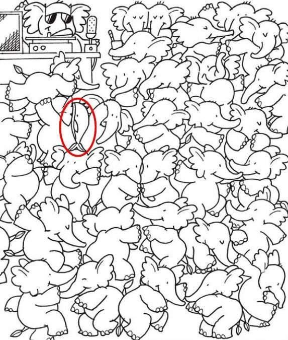 Test IQ. Găsește balena din imagine în 8 secunde 18905324