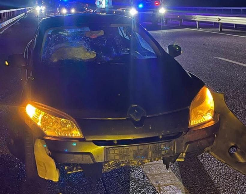 O vacă ce se plimba pe Autostrada A3 a fost lovită de două mașini. Unul dintre autoturisme s-a răsturnat. Bovina a murit 18905471