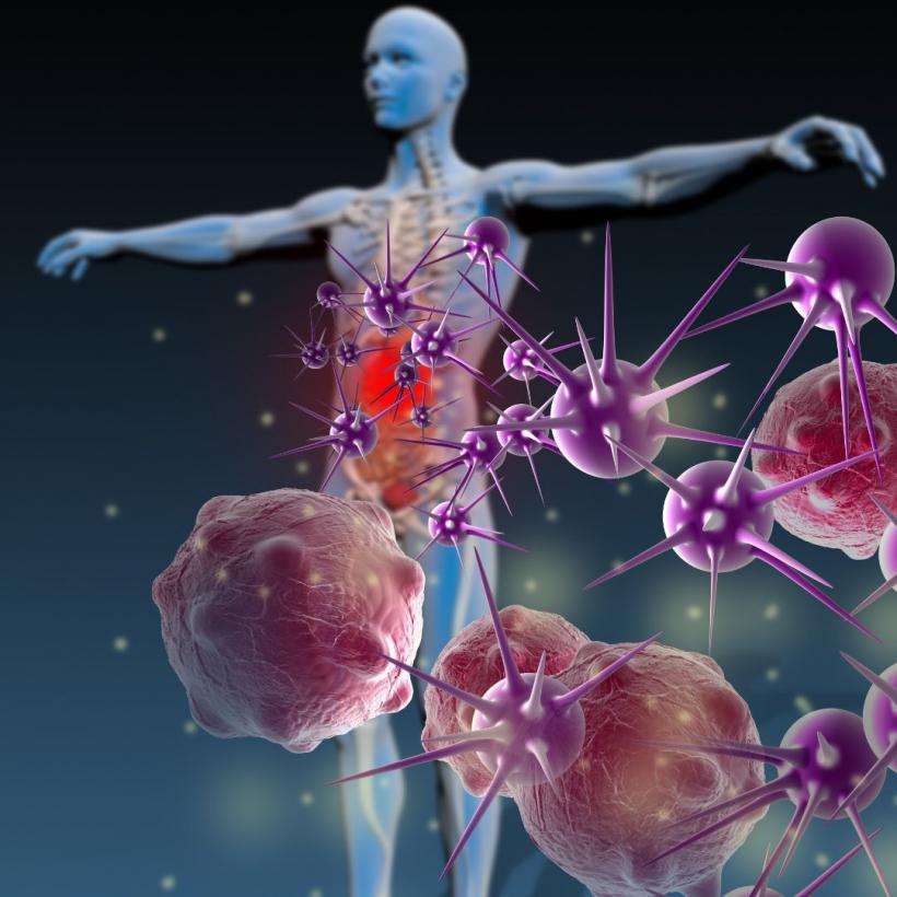 Sistemul imunitar: ce rol joacă celulele natural killer 18906103