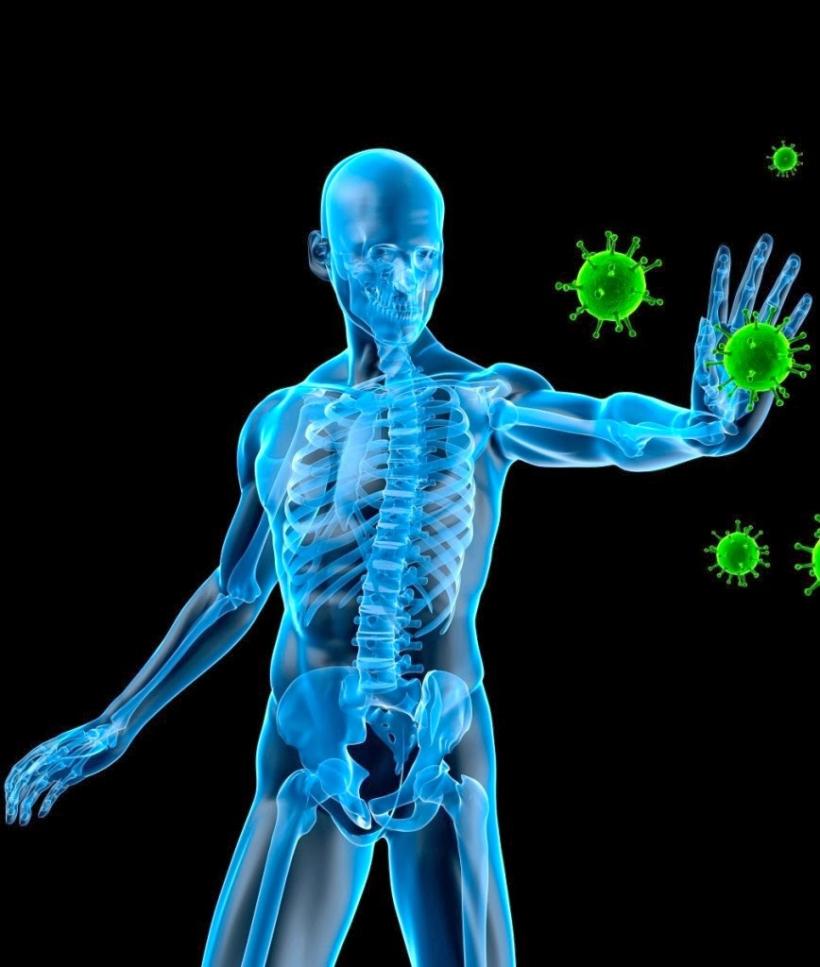 Sistemul imunitar: ce rol joacă celulele natural killer