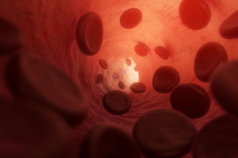 Trombocitele sintetice, o descoperire revoluționară ce ar putea salva viața pacienților cu hemoragii puternice 18906263