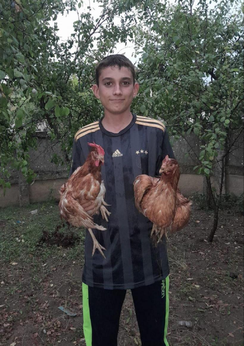 Fundația Carmistin a donat 10.000 găini ouătoare BIO 18906471