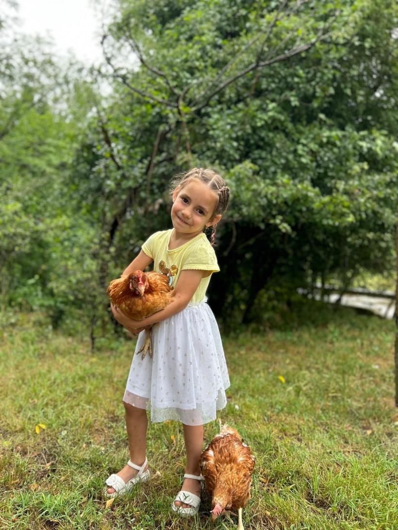 Fundația Carmistin a donat 10.000 găini ouătoare BIO 18906472